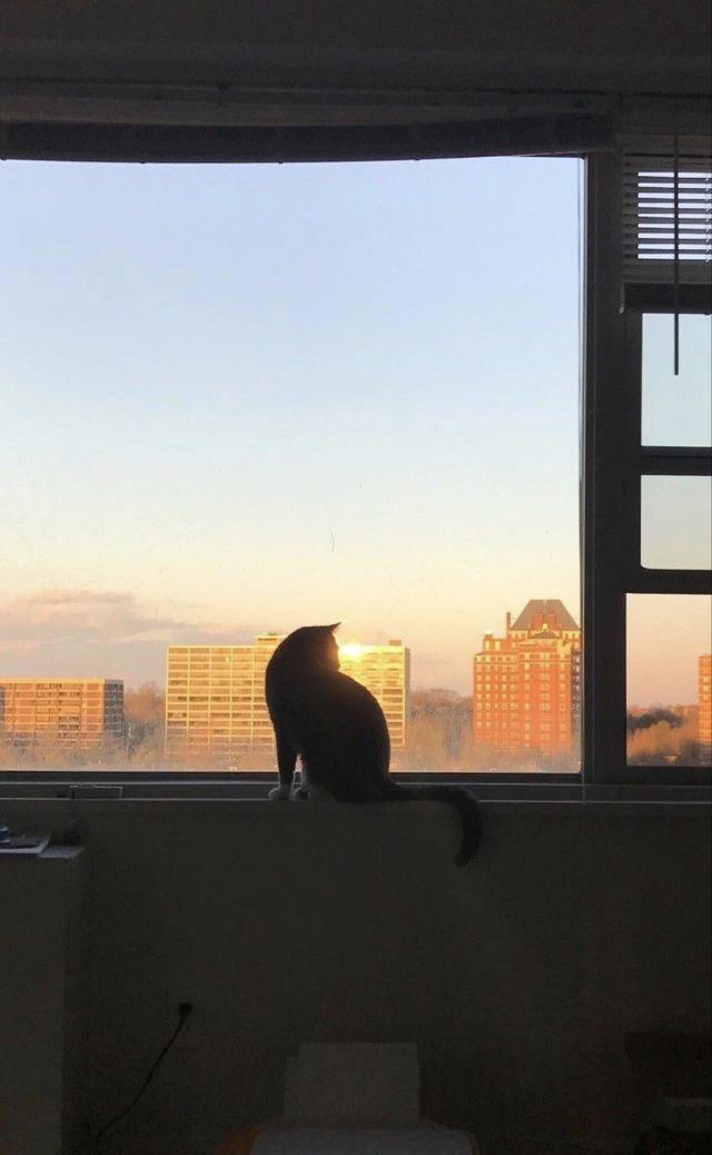 缺大部分夫妻就是凑合着，过着过着就老了，情字谁能说得清楚，糊里糊涂过吧，一生好快