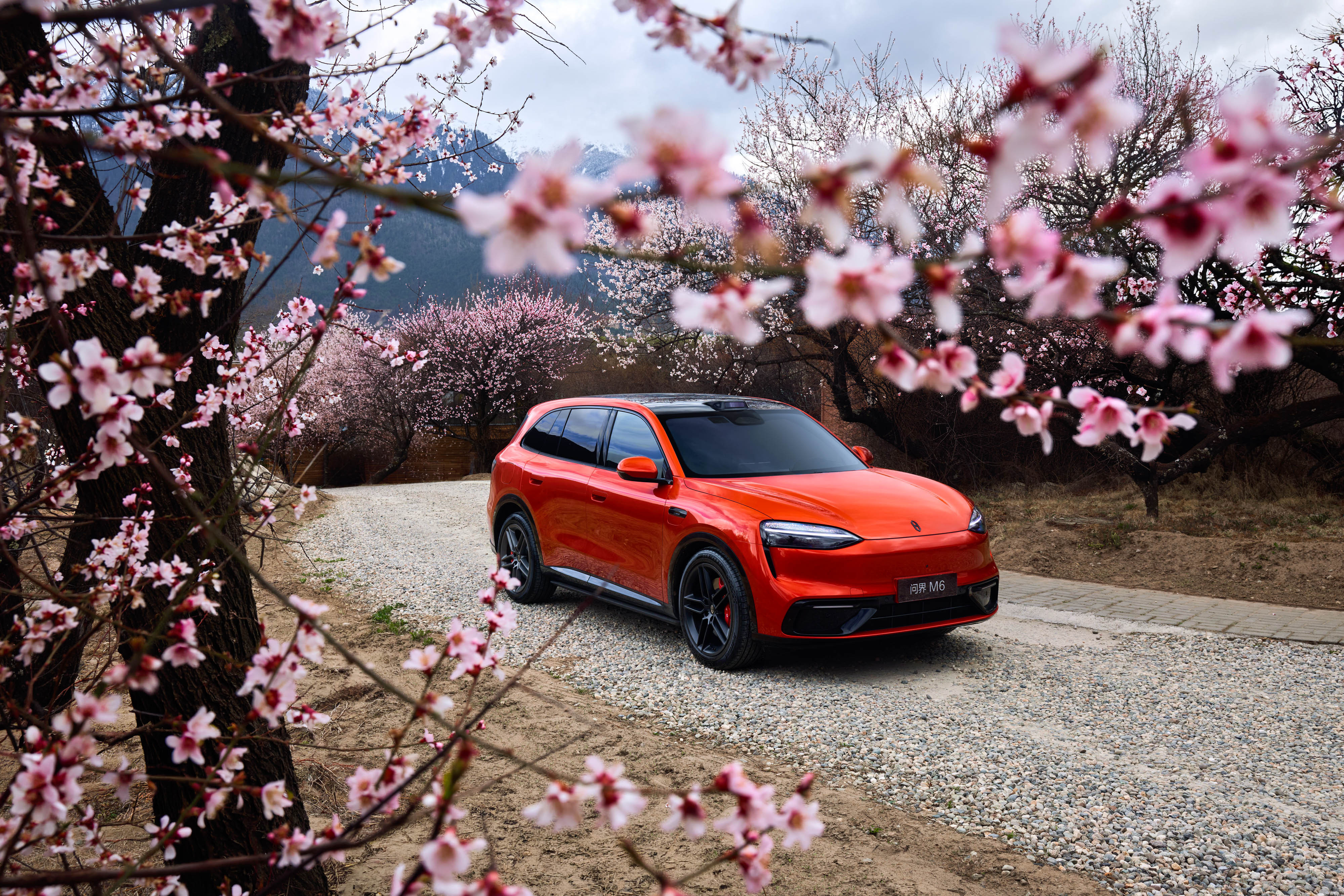 白敬亭现身北京车展问界展台白敬亭为问界M6车主交车在北京车展问界展台看见白敬亭了