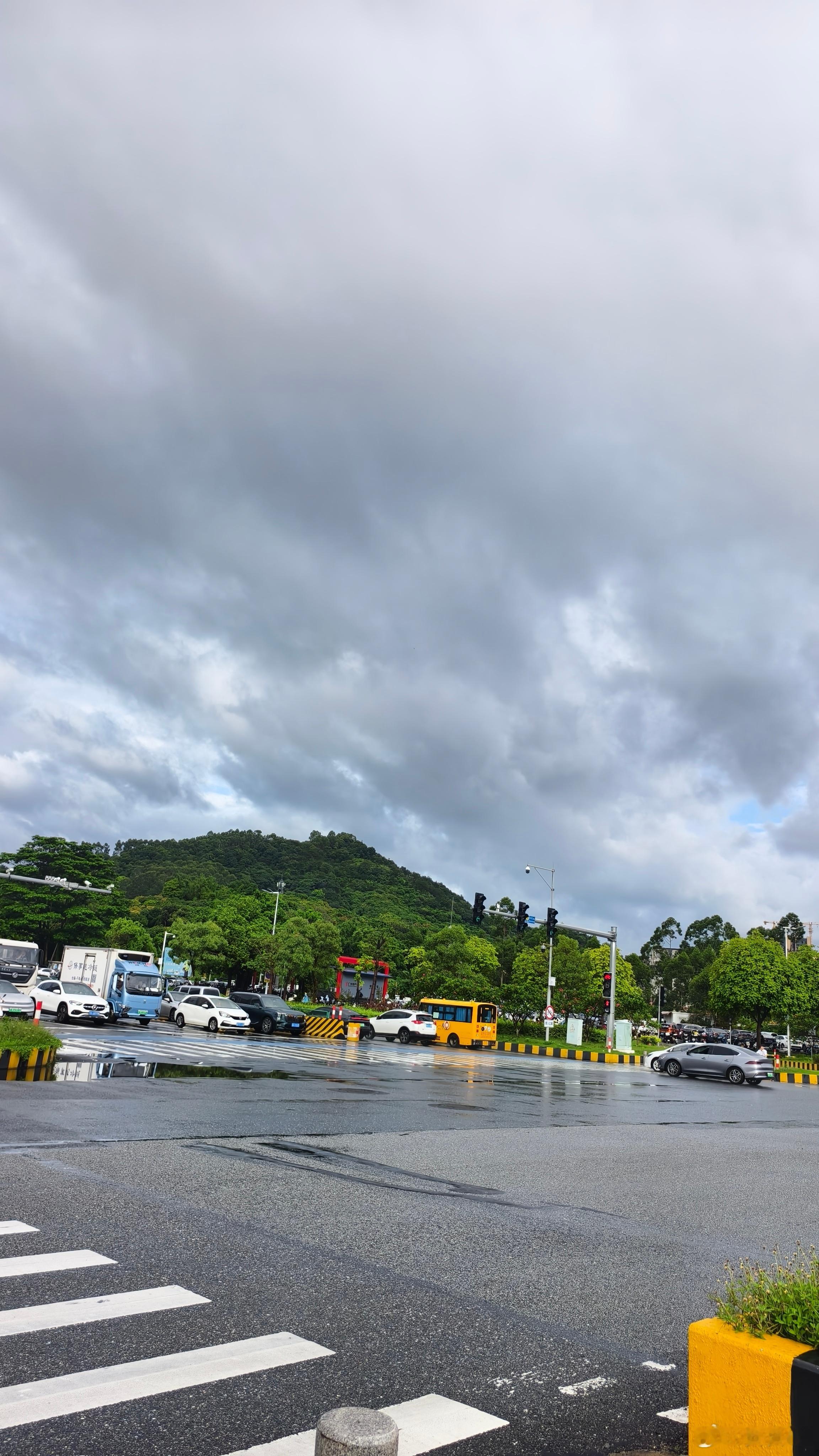 今年南方雨水很多。 