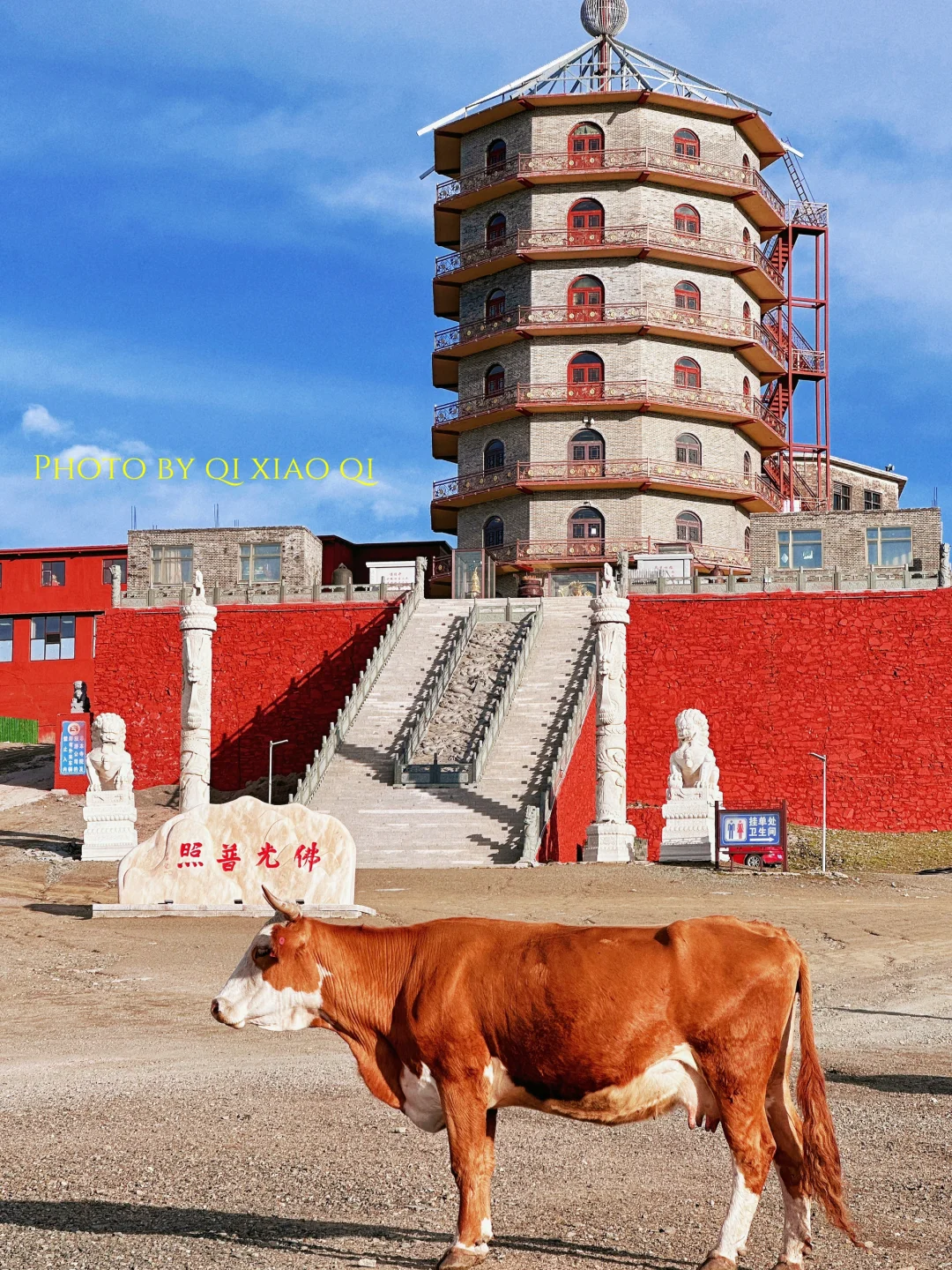 一半佛国，一半山|来五台山，一定要去东台顶