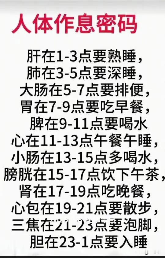 人体作息密码：科学安排24小时，健康生活每一天！🌞🌙🍃