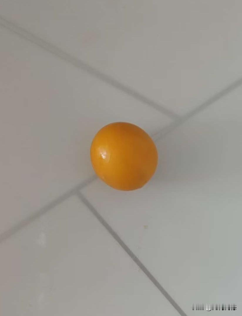 今天得到一个宝贝，乍一看跟蜜蜡一样，颜色非常的黄，质感也不错，感觉可以穿到串子上