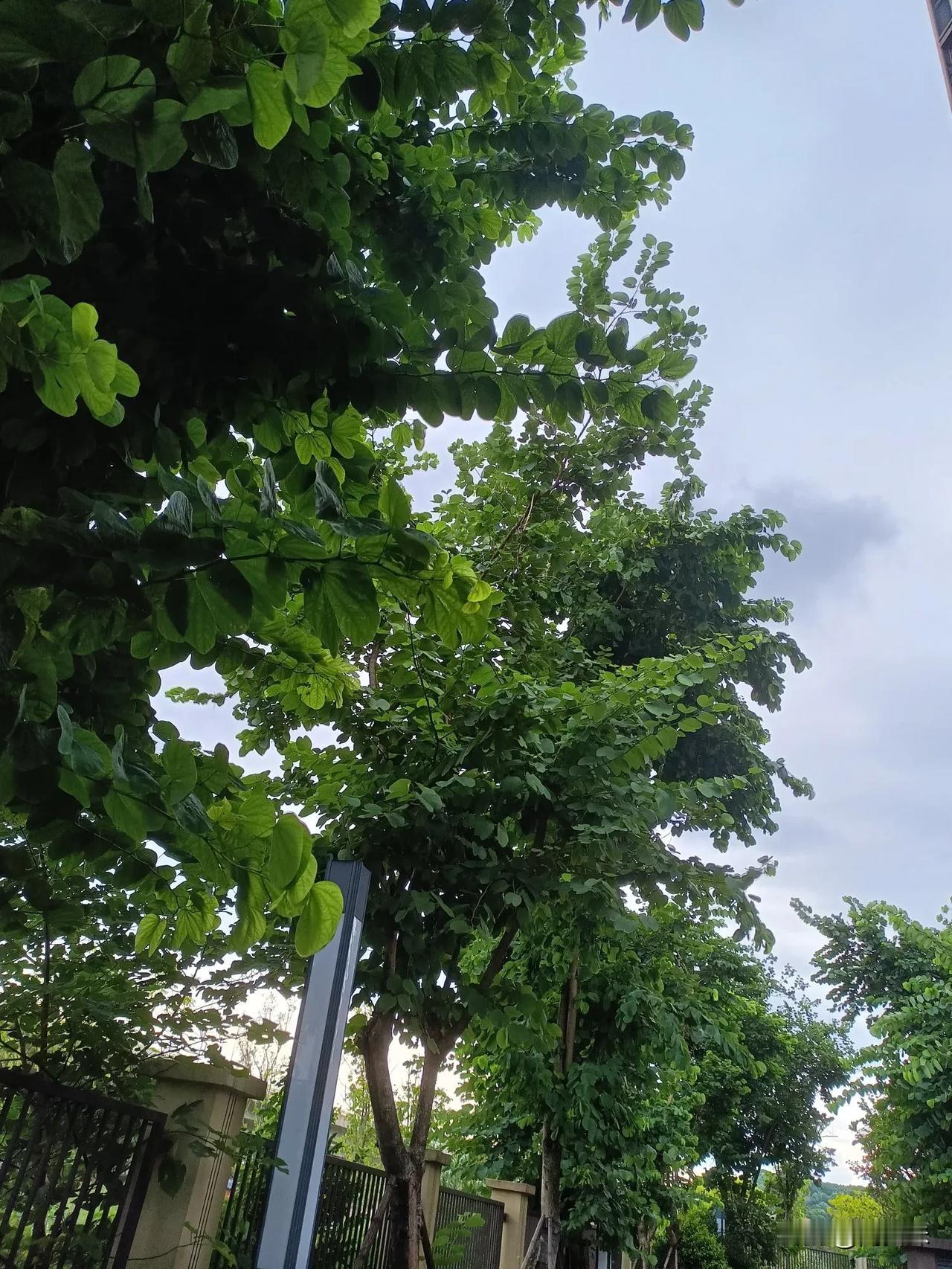 #秋日生活碎片打卡#
