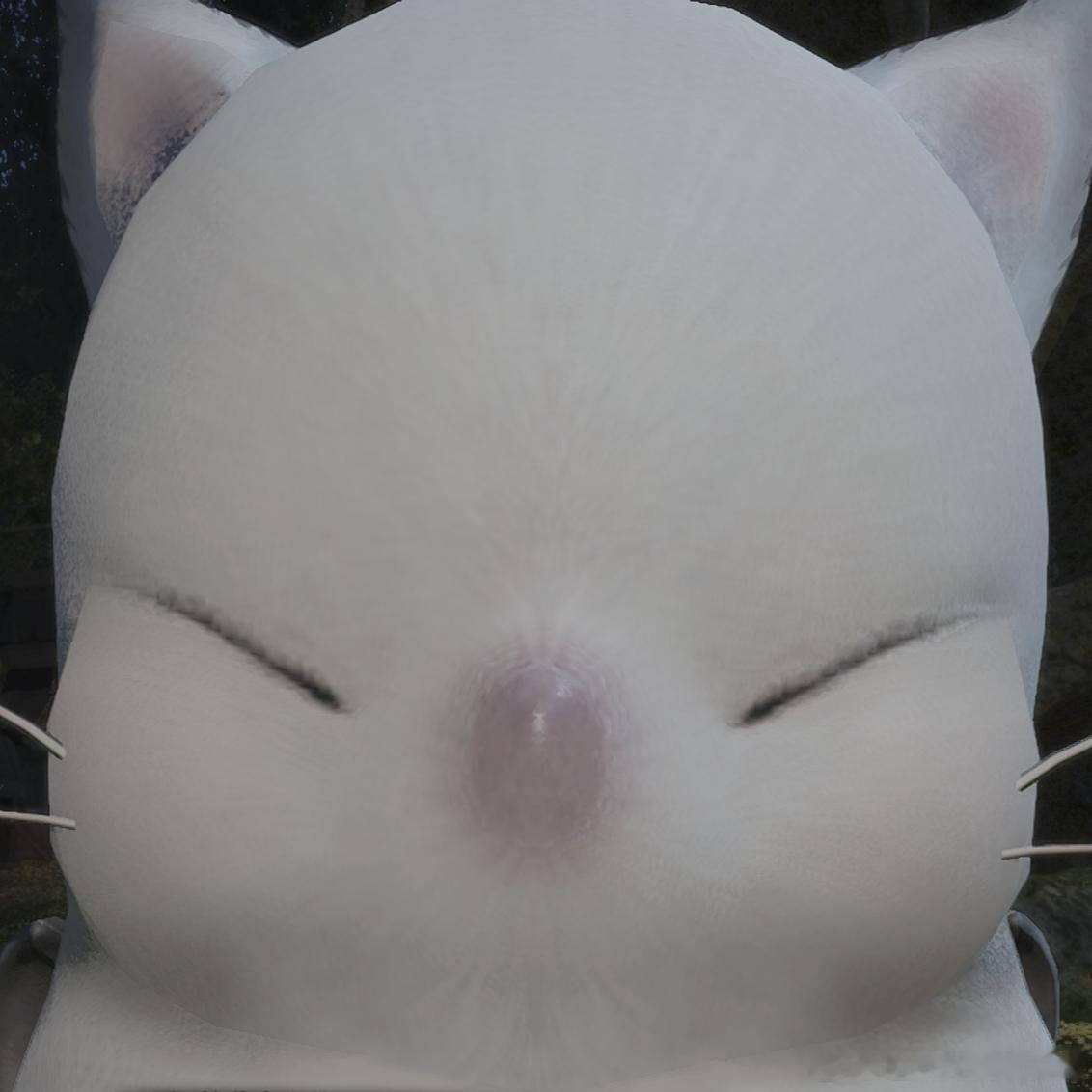 2055无意义白猪图 