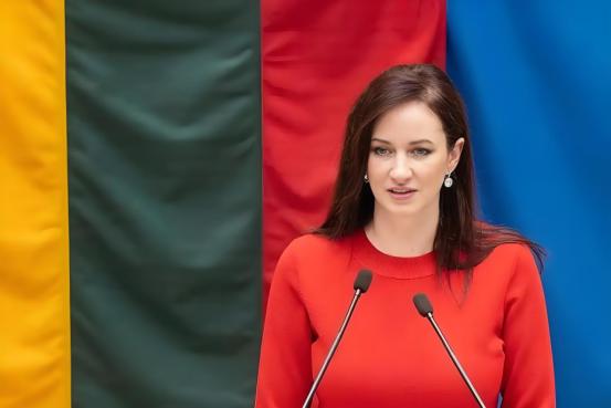 立陶宛政府举白旗，全面接受中国条件，恶斗5年，中方大获全胜。
 
2021年，立