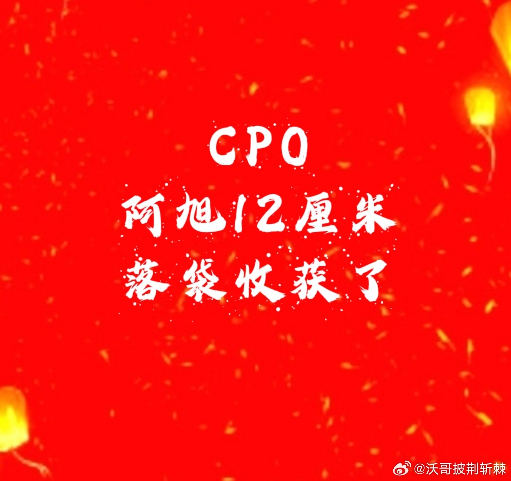【CPO阿旭收获12厘米】沃哥的票大盘好的时候平平无奇，大盘平平无奇的时候反而票