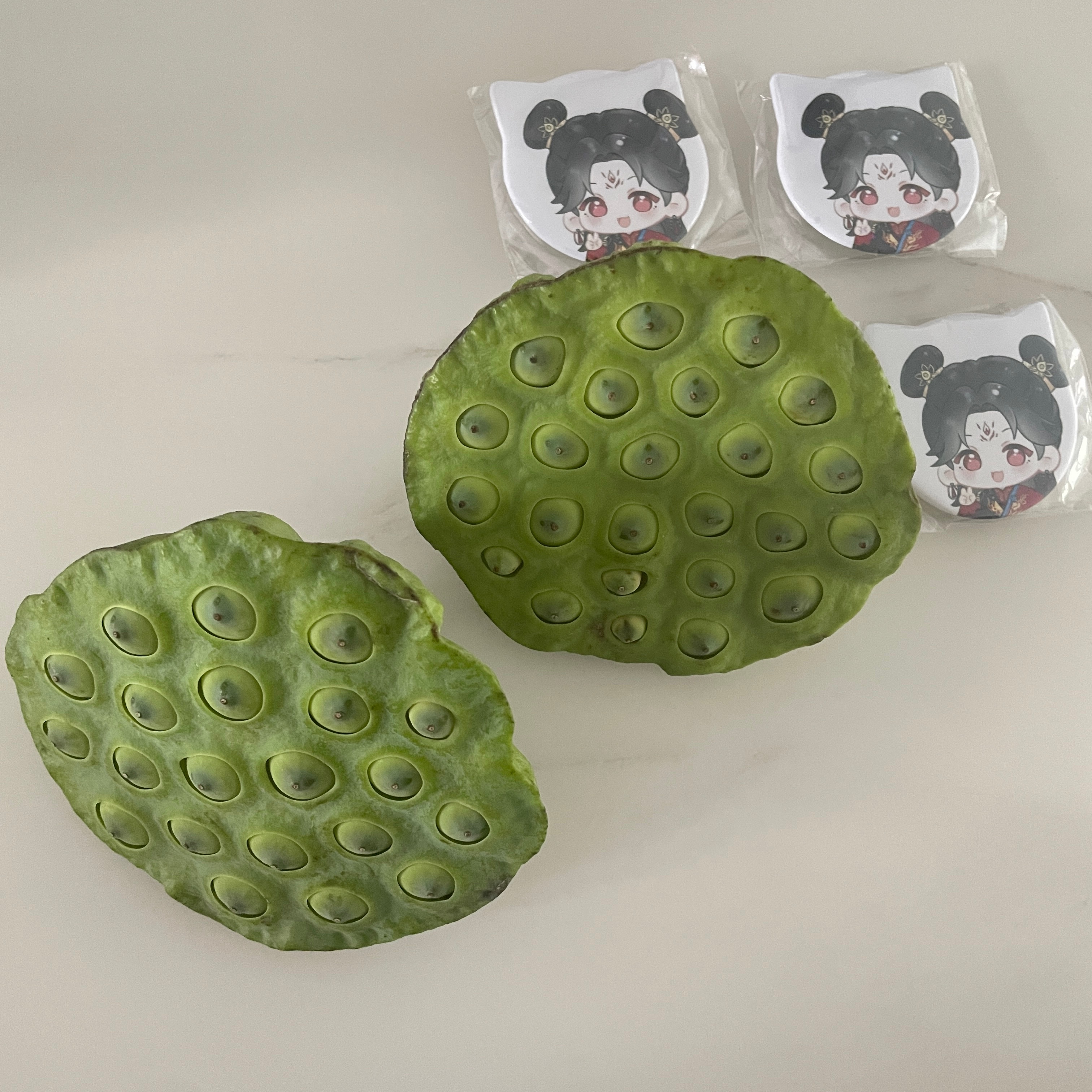 刚收到的莲蓬和三太子的猫耳吧唧是一起来滴怎么不算一种缘分呢
