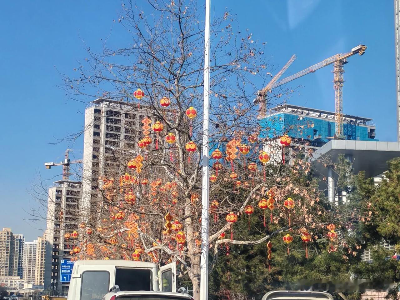 今年青岛西海岸新区七墩山路道路亮化又开始了，一改往日的色调换上了喜庆的灯笼灯。一