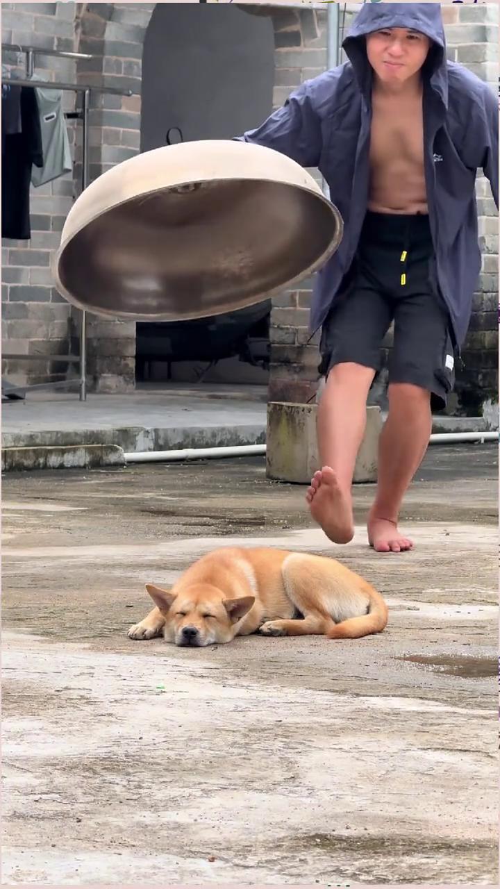 呦呦呦，呦呦呦。
