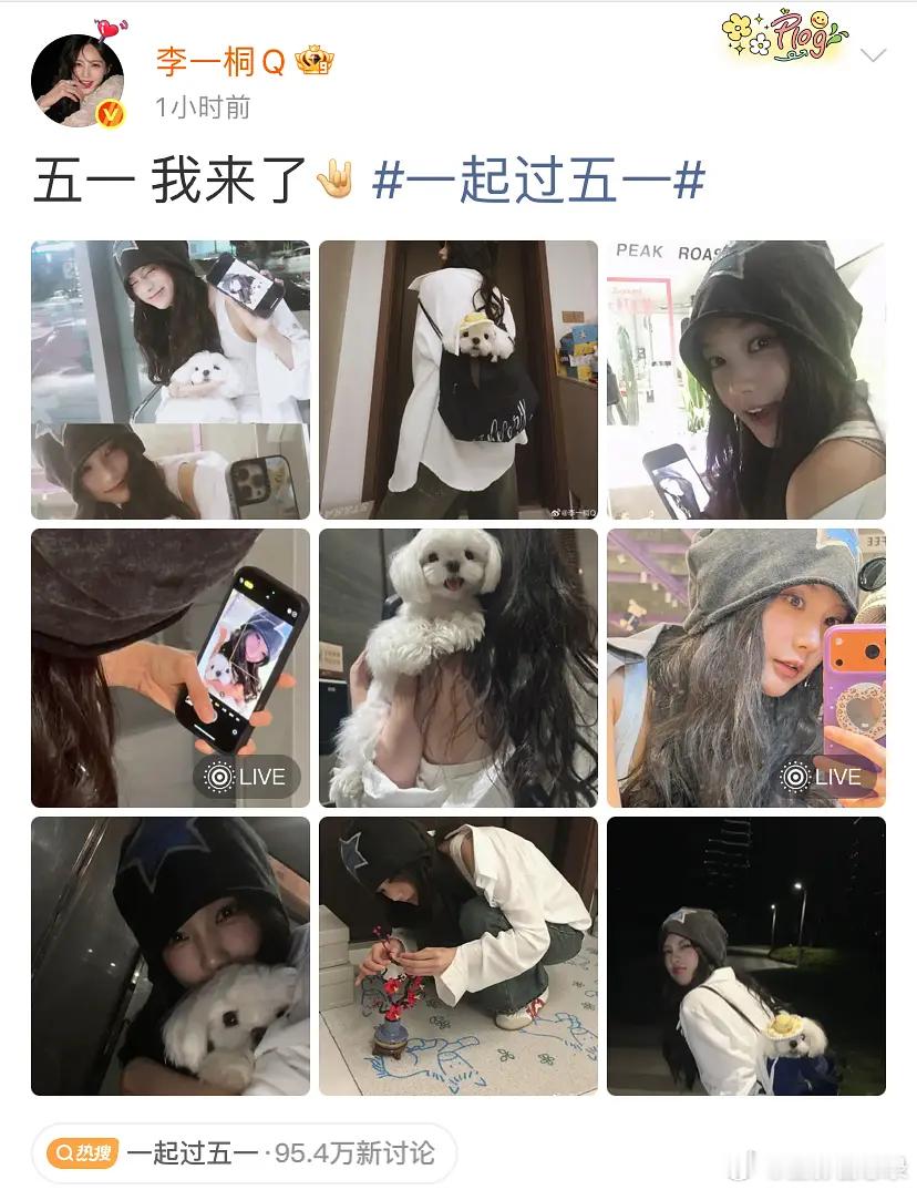 李一桐这组太美了 