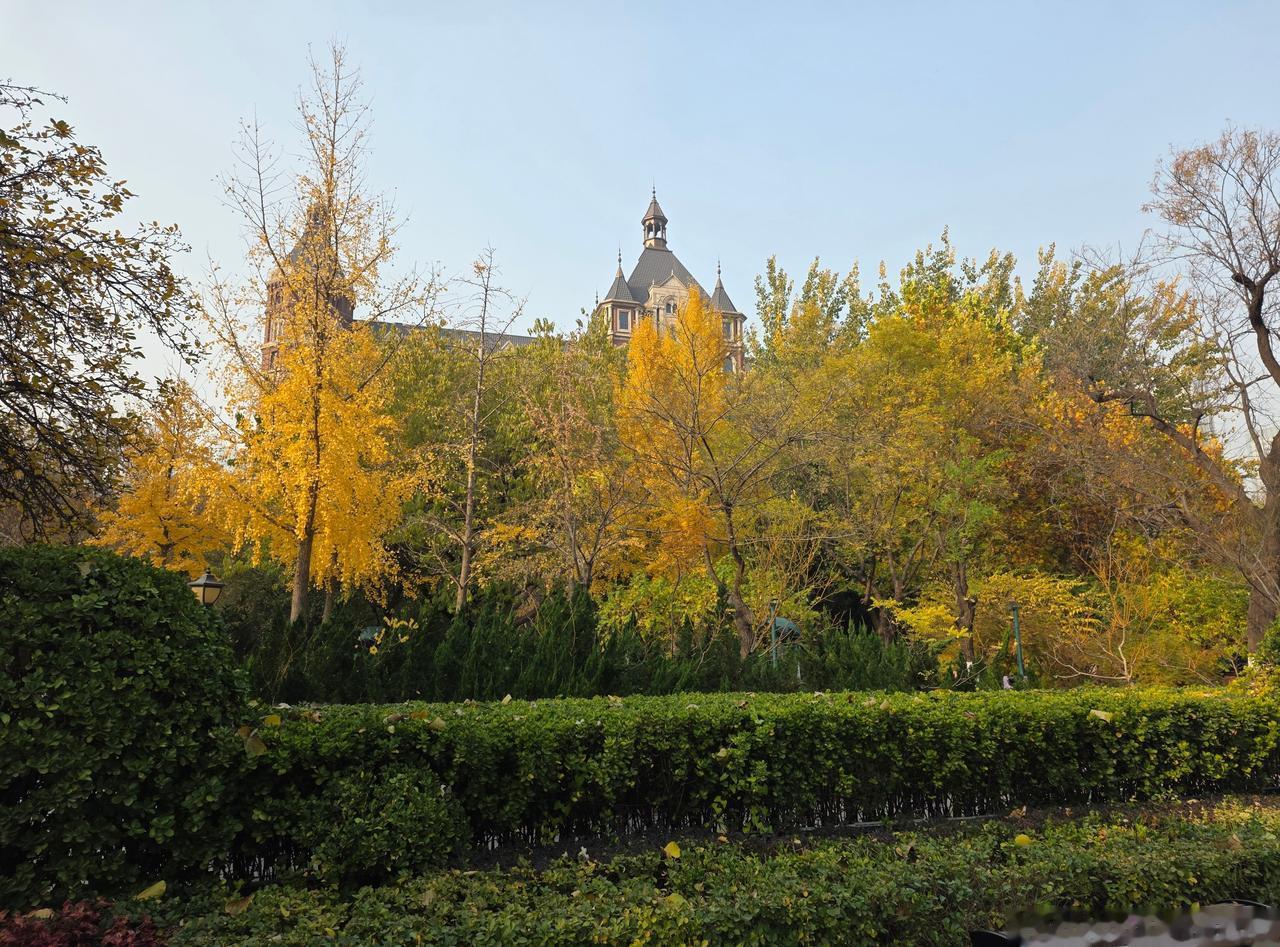 京津冀局地出现10级以上大风寒潮真的来了！听说好多地方降温超10度，还有暴雪大风