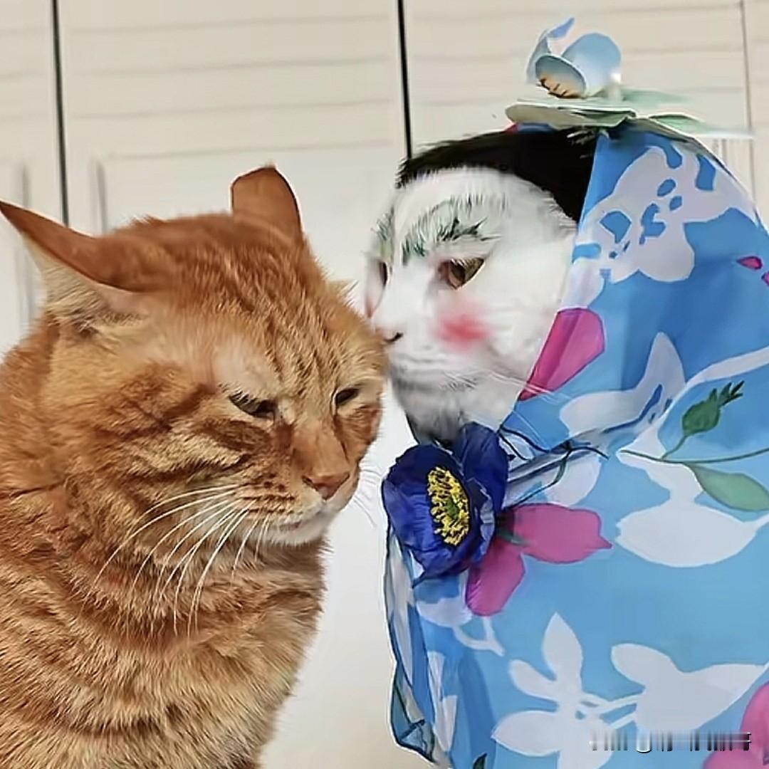 夫妻相处三部曲