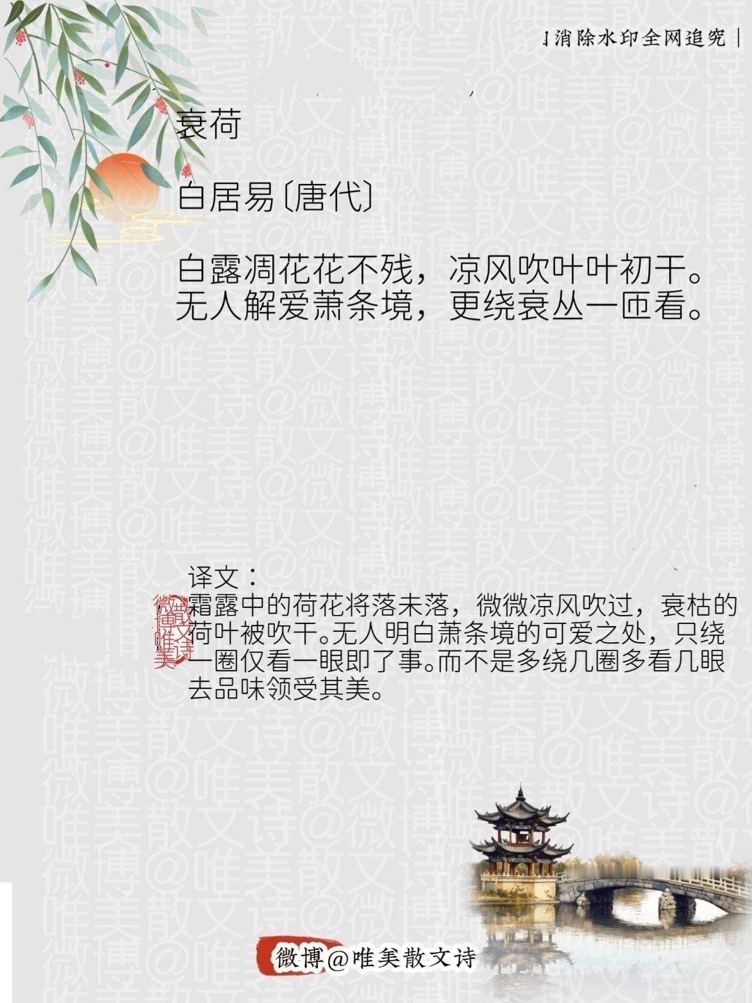 “衰荷｜唐代”每天一首古诗词腹有诗书气自华 