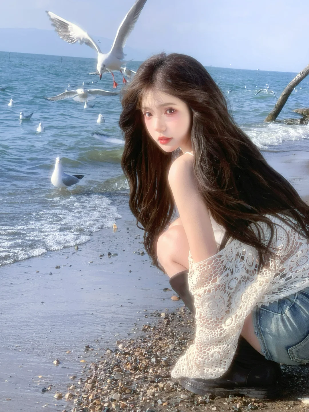 西伯利亚的海鸥从不失约🕊️