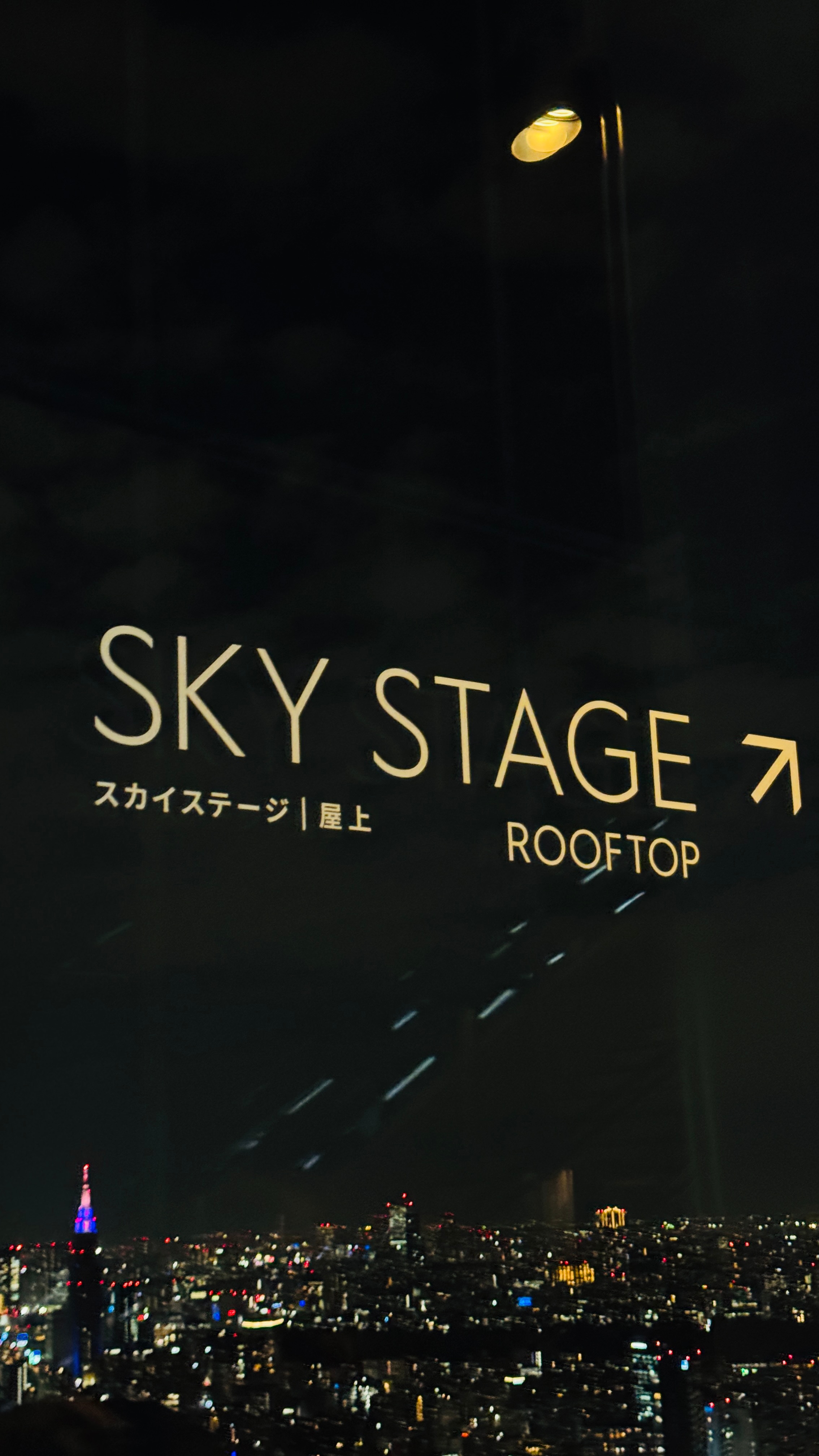 Shibuya SKY  ​​​
