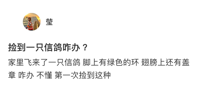 家里捡到了一只信鸽该怎么办[哆啦A夢吃驚]#龙年造梗大赛##本命年许愿池# ​​