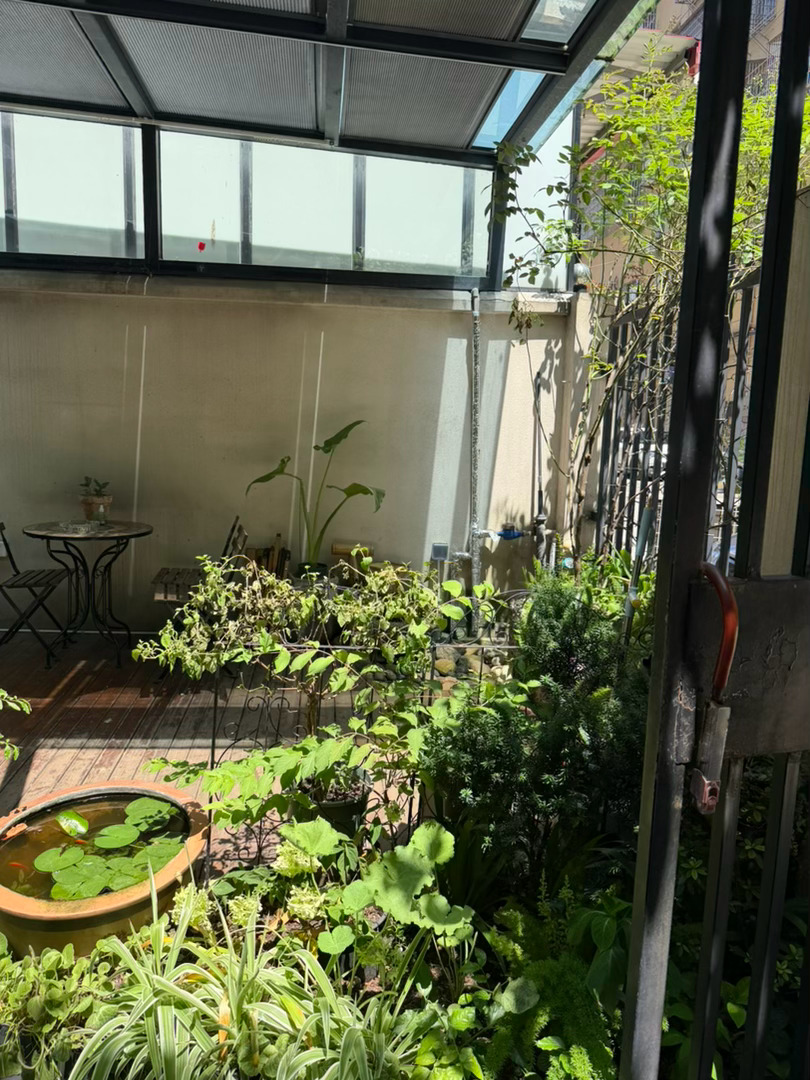 生活手记记录真实生活摄影摄影摄影 藏在草木书香里的温柔咖啡馆寻一处闹市一隅的小馆