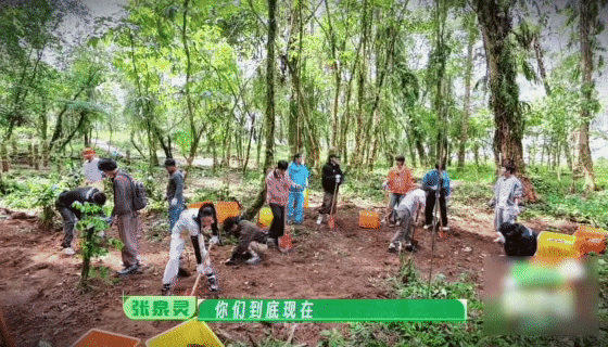 张泉灵问十个勤天有多少个王子种地吧张泉灵记名字记到宕机，十个勤天人均王子头衔：玫
