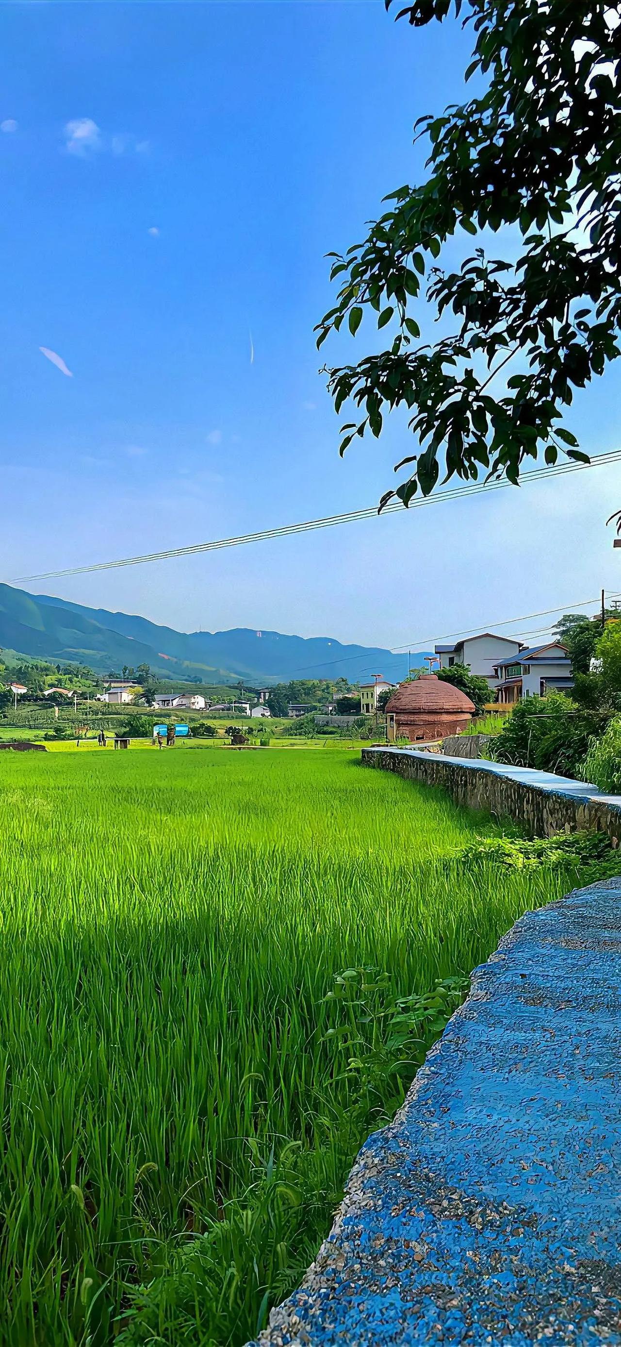夏咏
袁森林（贵州）

日炎何处是仙境，时去云泉闻磬声。
莺语乍听真有意，蝉歌初