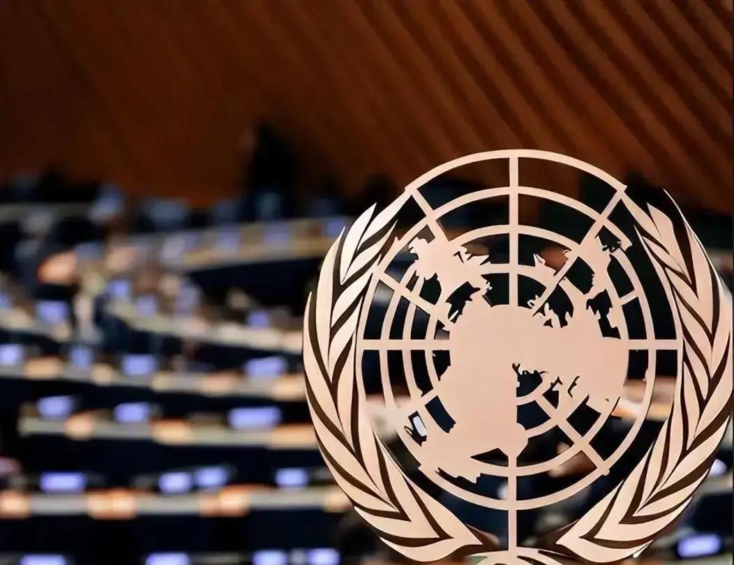 联合国快揭不开锅了，美国欠了21.9亿，中方这次直接把话挑明：根本原因

联大会