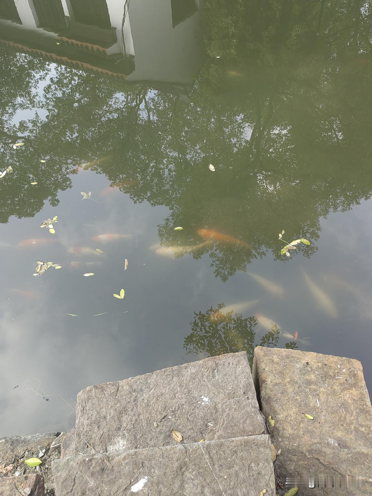 银行存款利益越来越低，我不会把钱存银行，可以买点金或买点银。