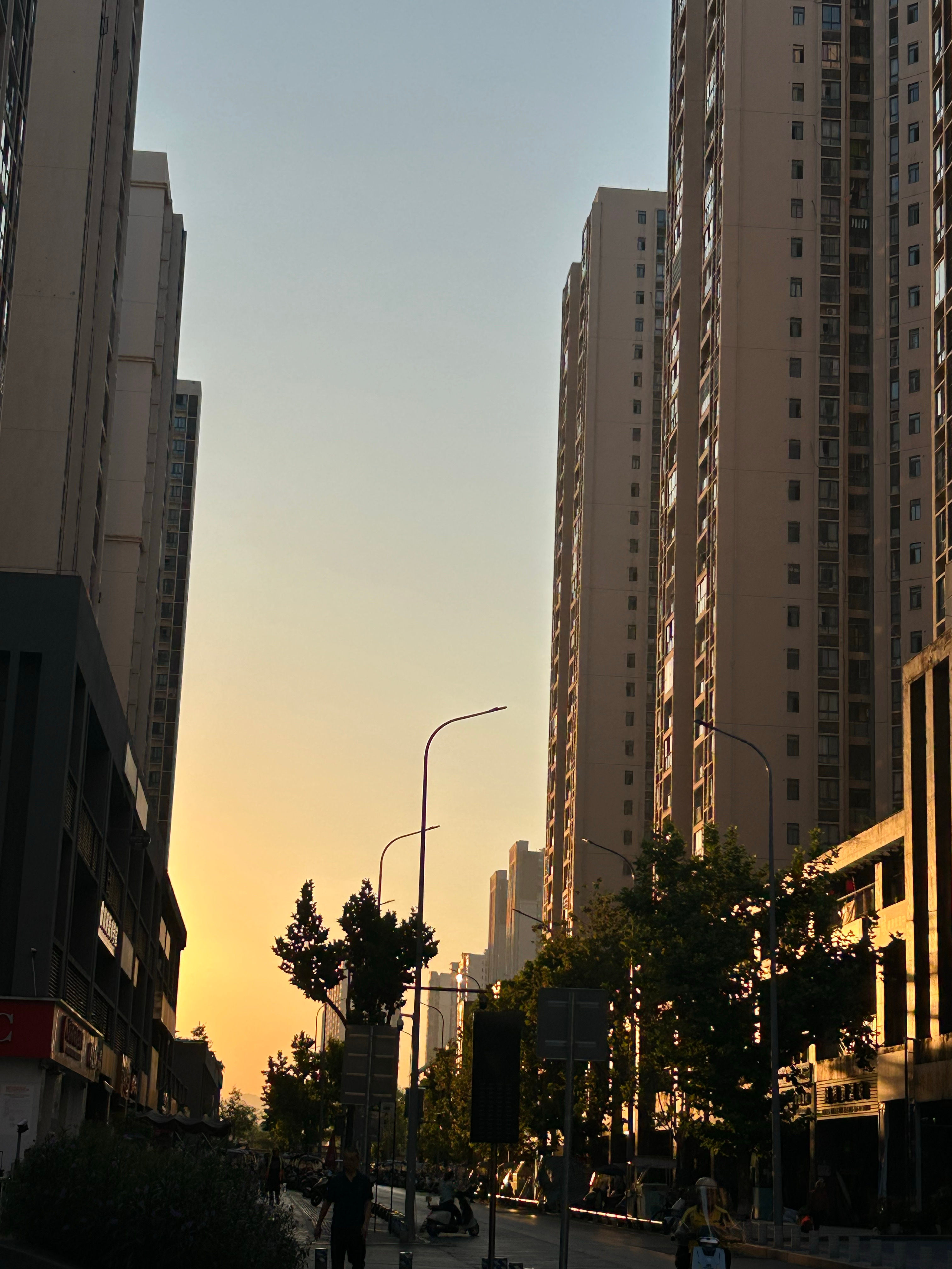早晨 ​​​