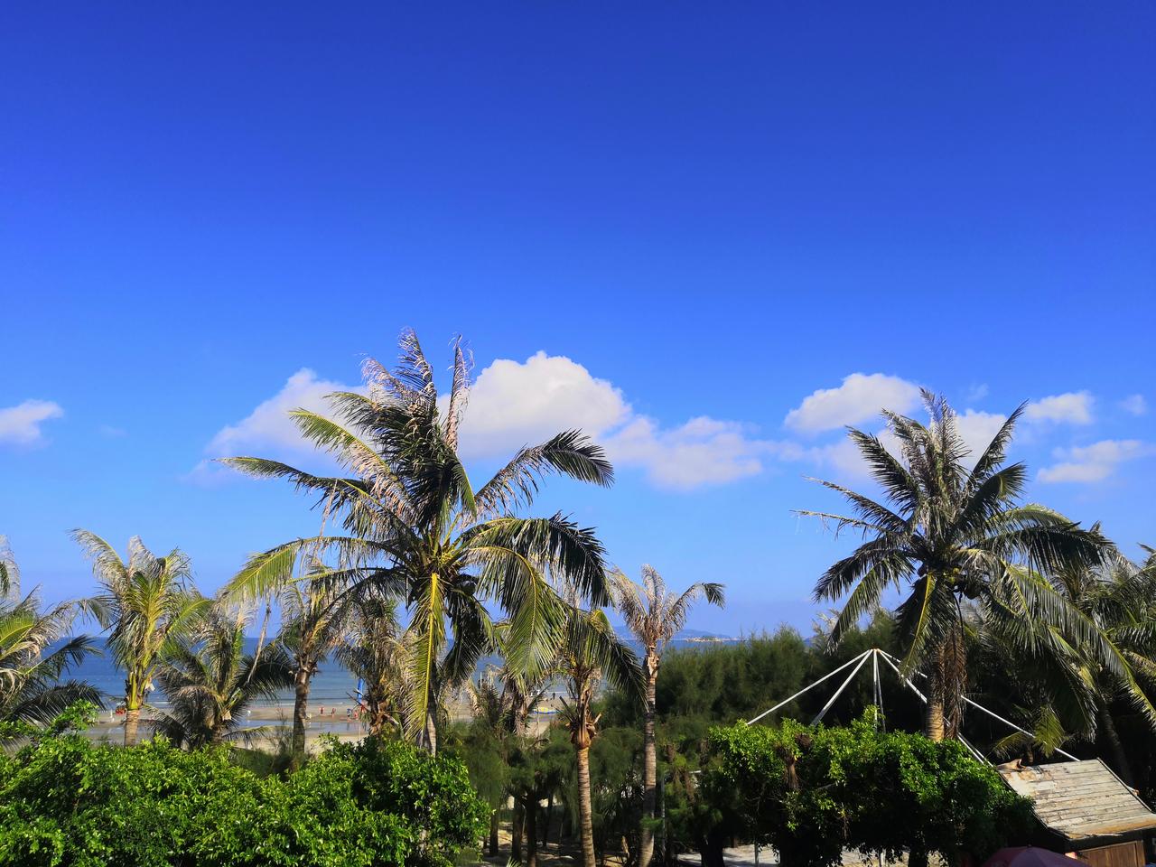 能否分享一下你拍摄的天空