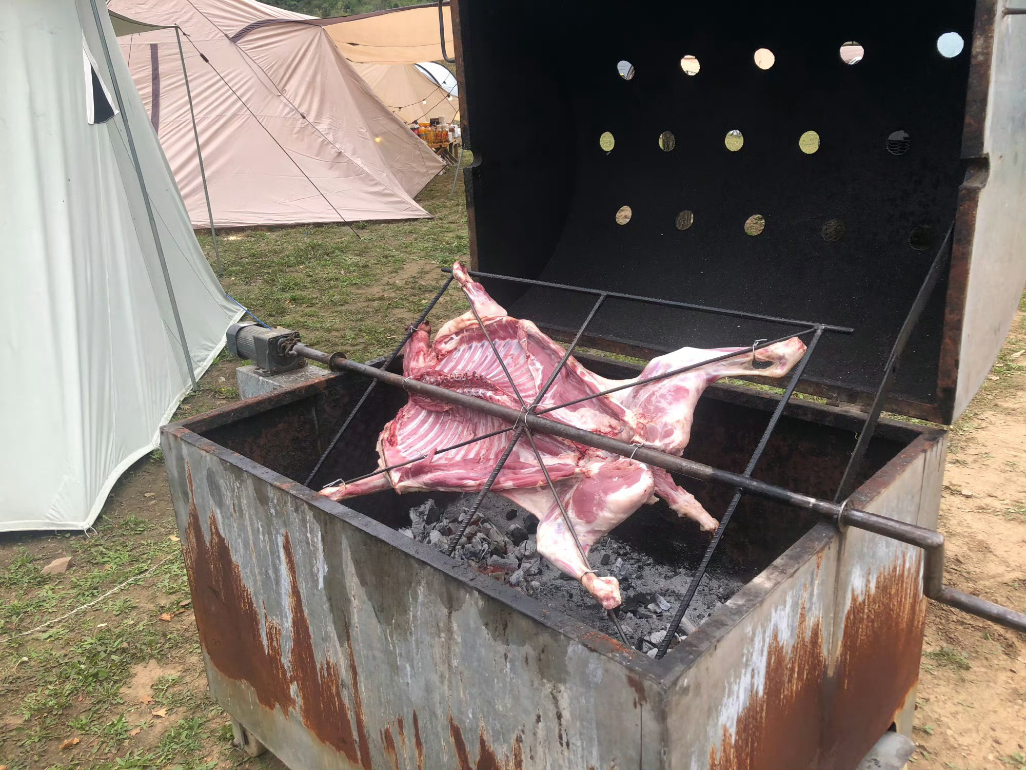 商家称36斤羊烤完剩6.9斤是正常这玩意我烤的多呀36斤的小羊羔子，也就3个月正