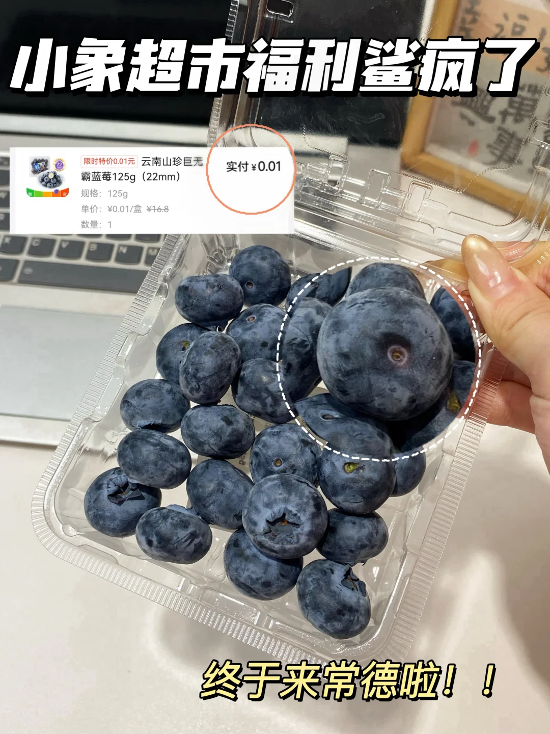 常德人冲一分钱蓝莓，小象超市真打工人天堂