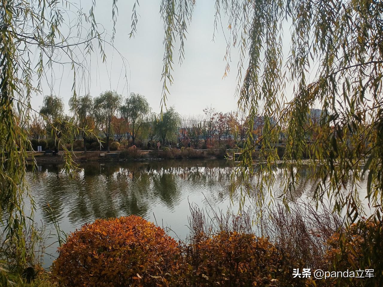 如意湖
如意湖在长春双阳区，到那里要一个小时的车程。
如意湖我已经去过三次，今年