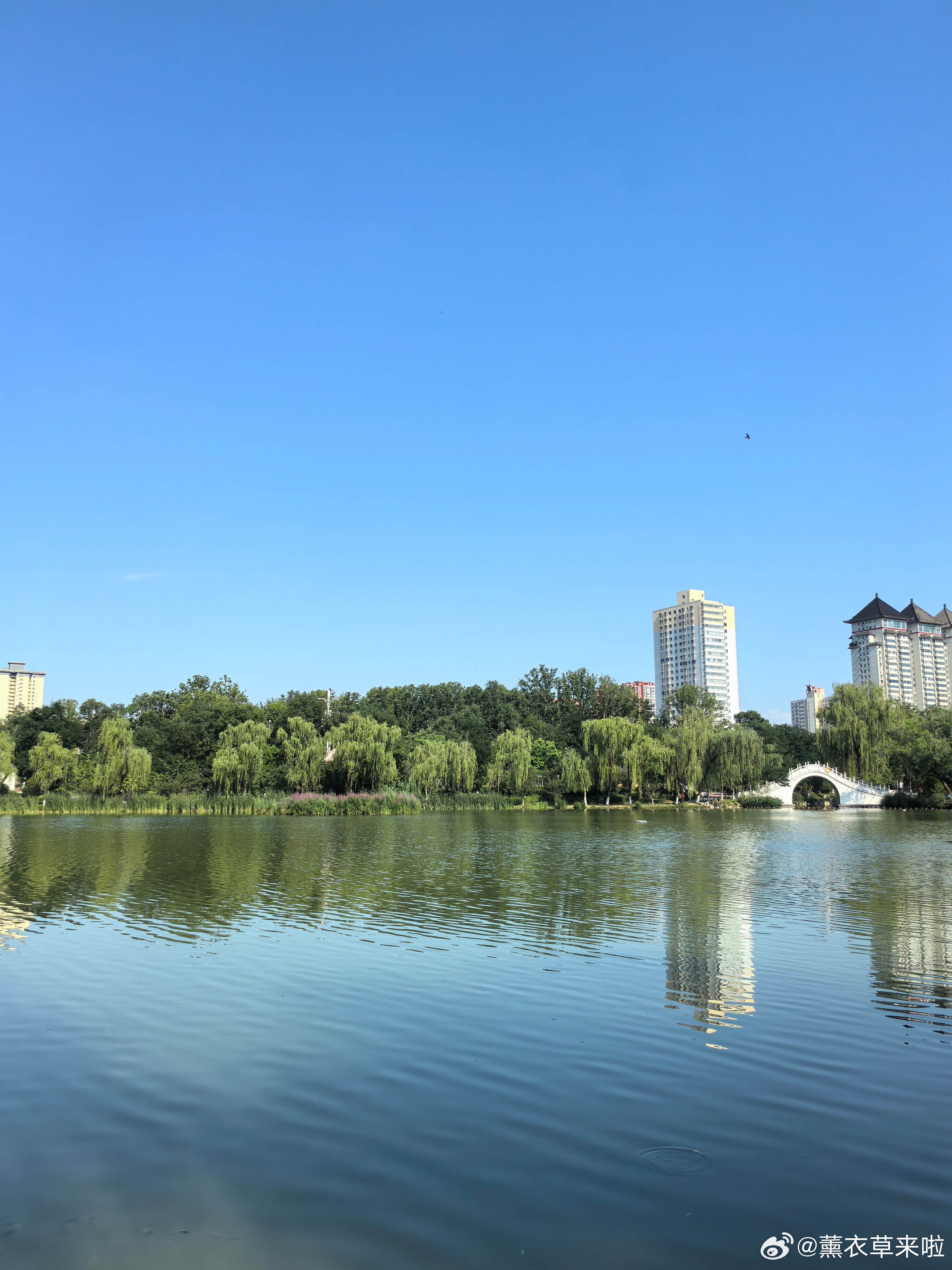随手拍美景  荣儿的日常 一汪湖水揽尽晴光，古建映清波，一边是千年唐韵，一边是市