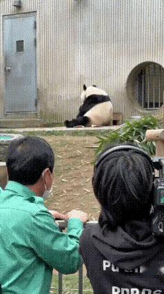 像不像久别重逢的人[赞]