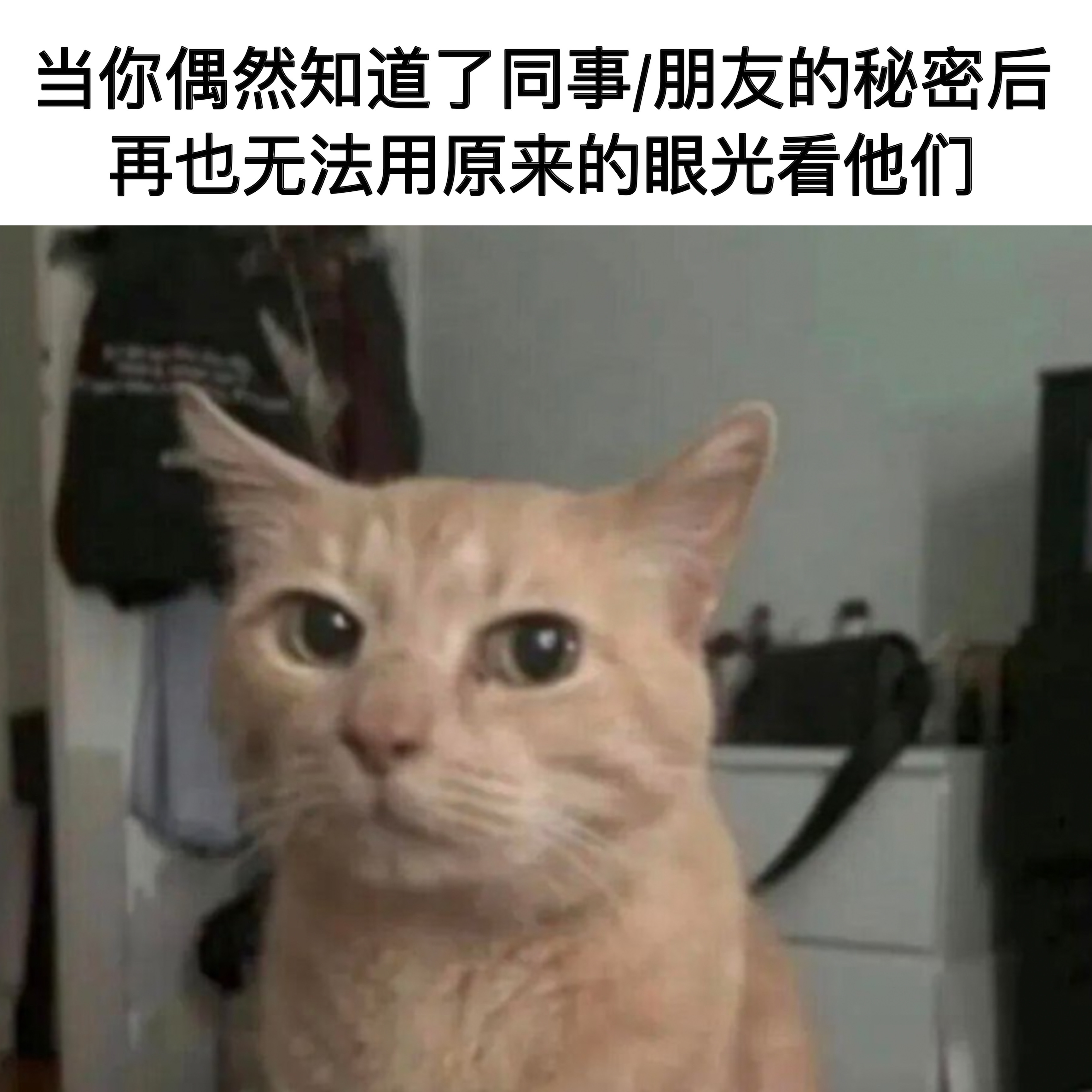 还有两副面孔memes