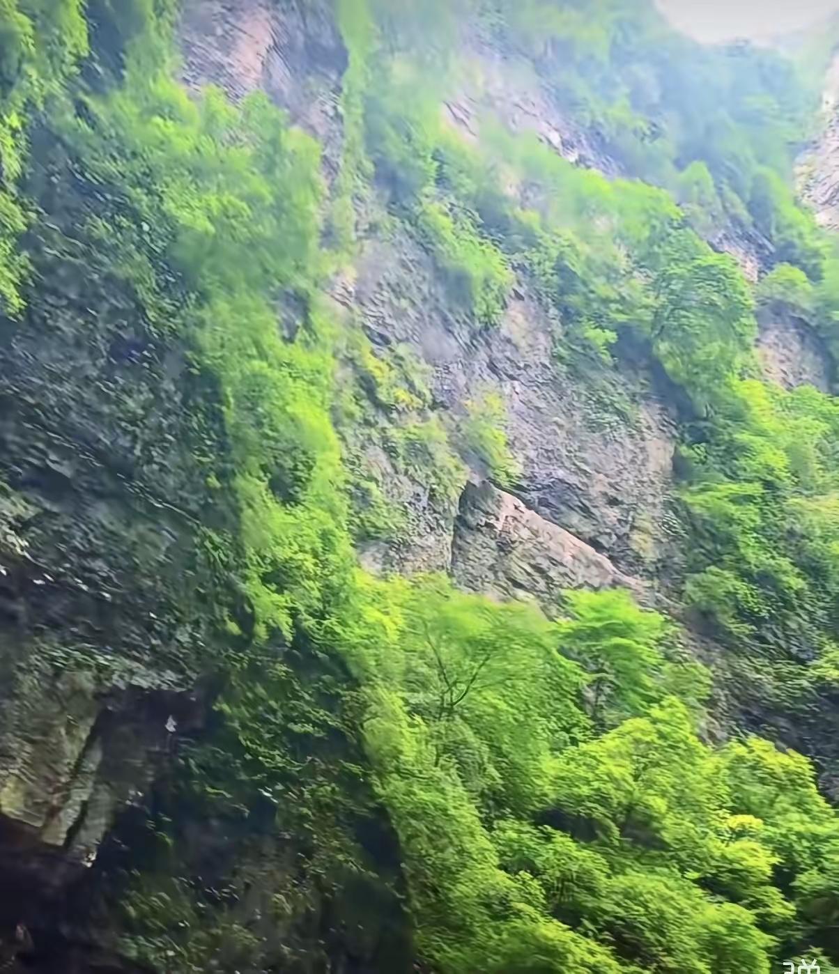 很多女生在婆家受委屈，未必是婆婆刻意刁难拿捏。

婆婆既不出钱也不出力，还生活在