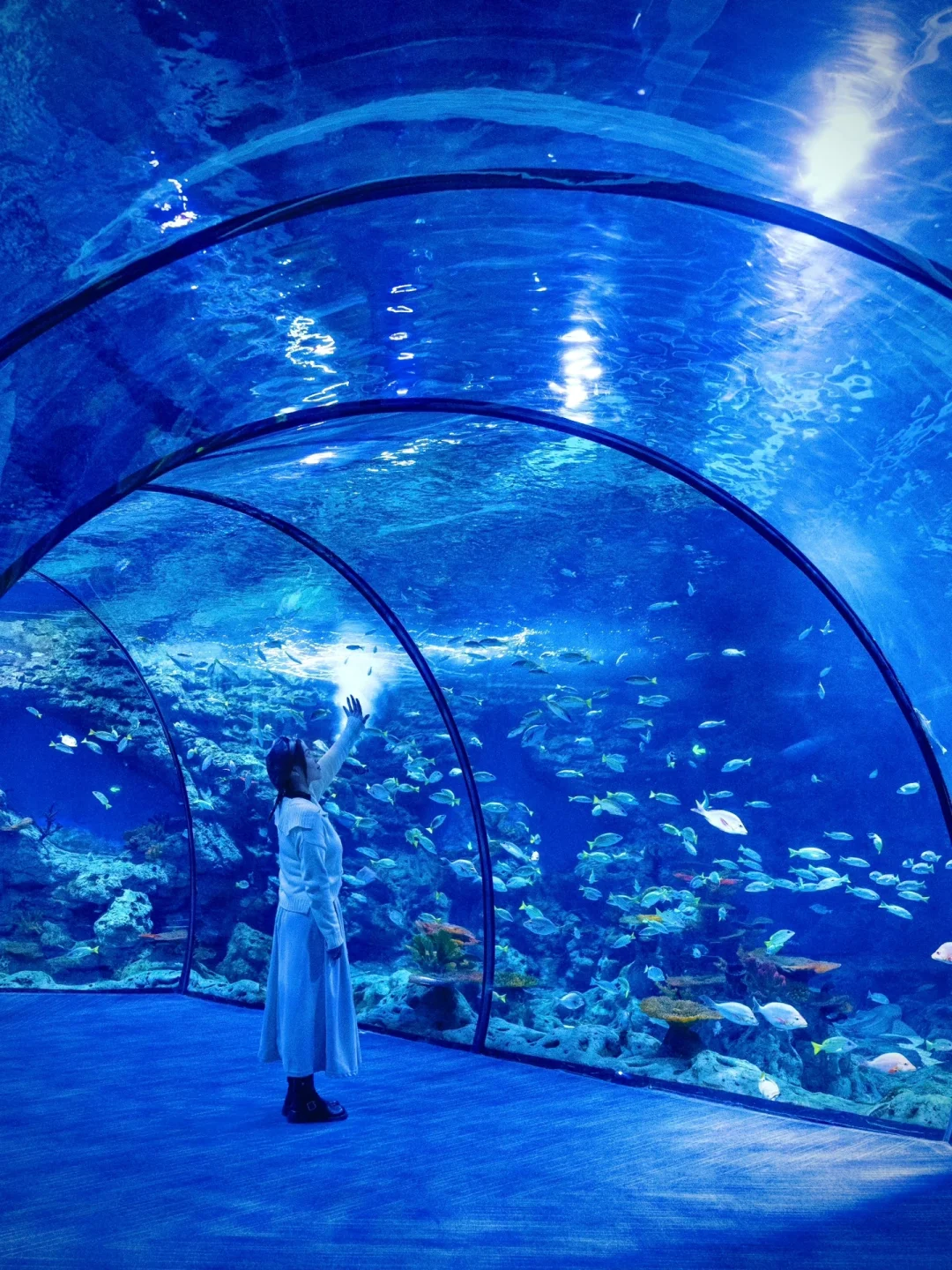 讲真‼️舟山这个海洋公园丝毫不输珠海长隆🐬