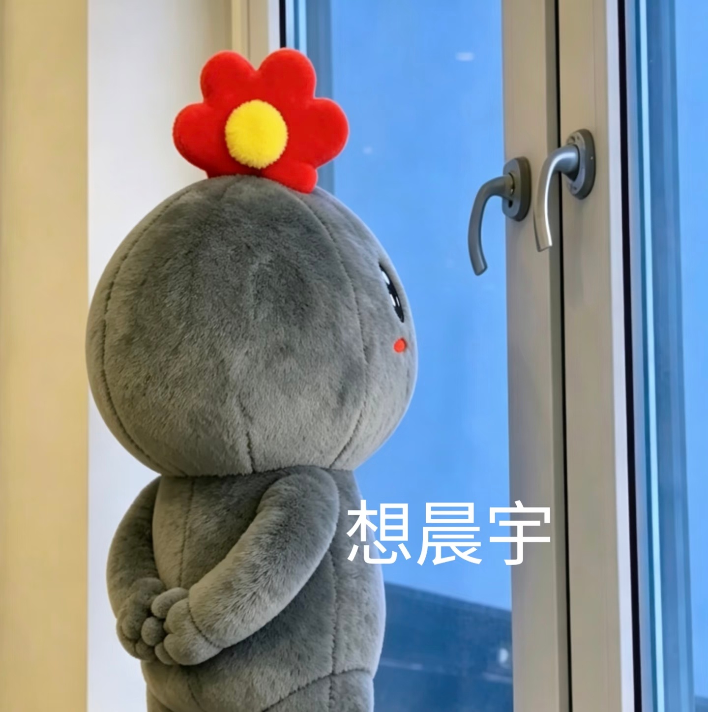 per 帮我看看你兄弟安全否 