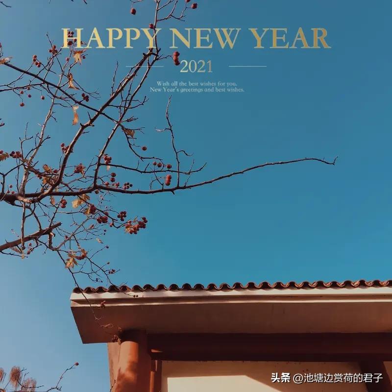 新年生活，那仪式感简直拉满！年前三天，全家就像“保洁战士”。老婆是总指挥，老妈当