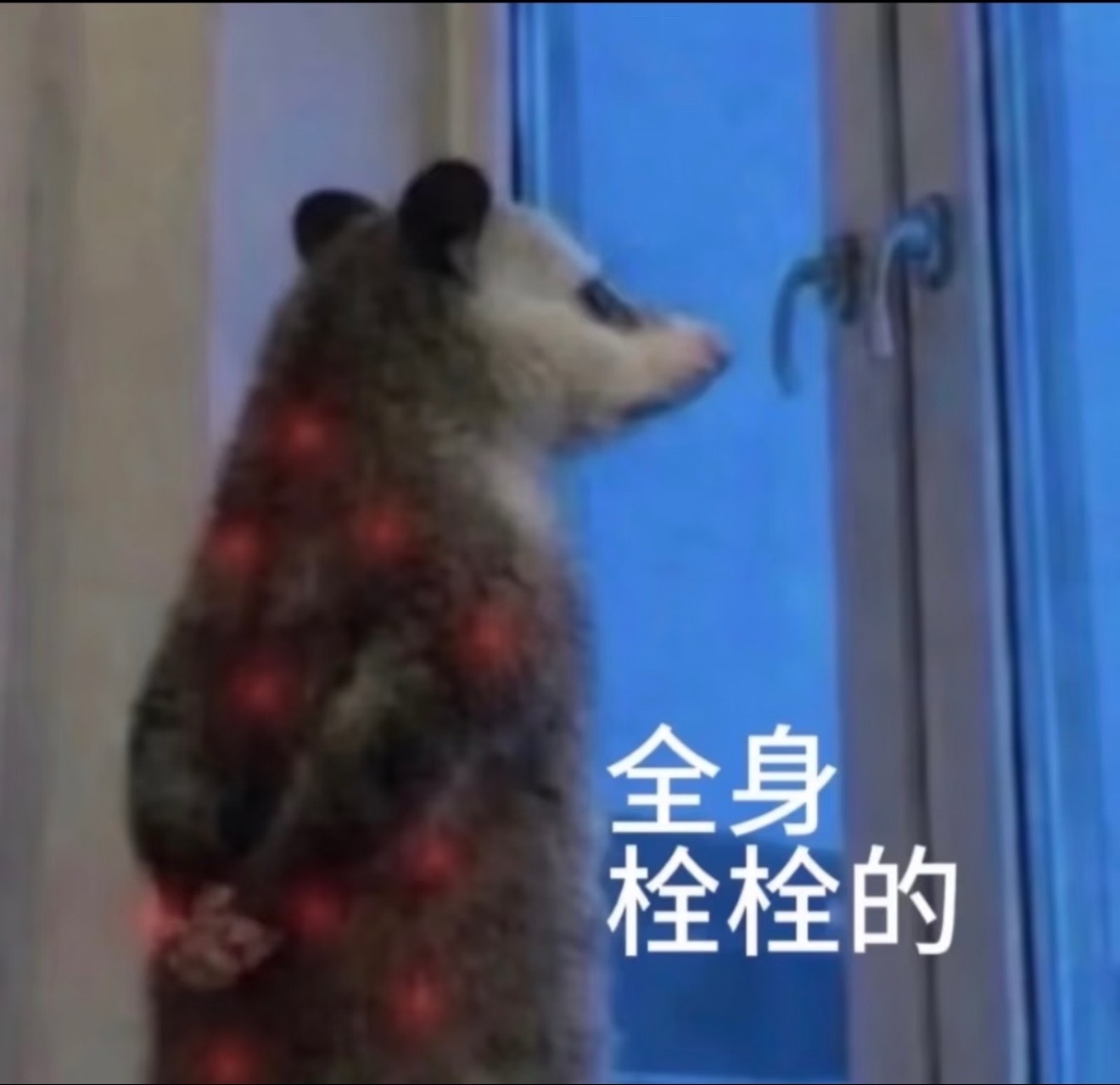 我教练太好笑了，因为已经很熟了，我俩还都是狮子座，她太懂怎么捧杀我了，今天做保加