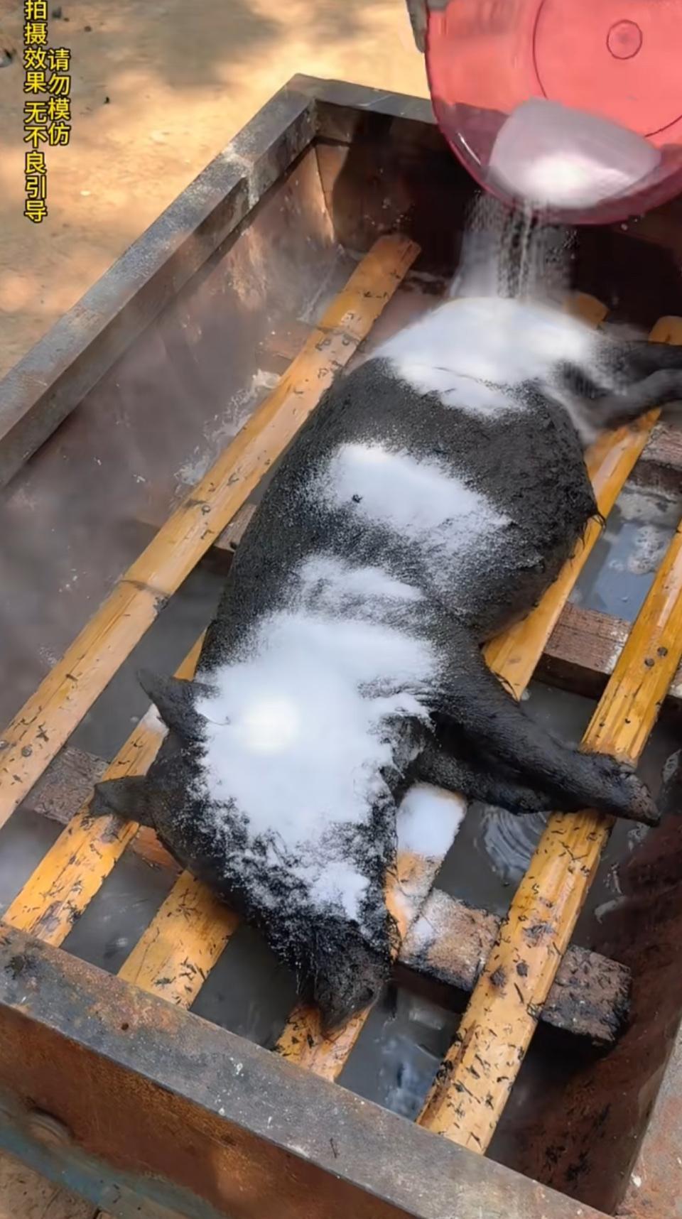 西瓜汁，你们都会被西瓜🍉本身就是一个水分足，榨汁机后备解渴神器效果佳。