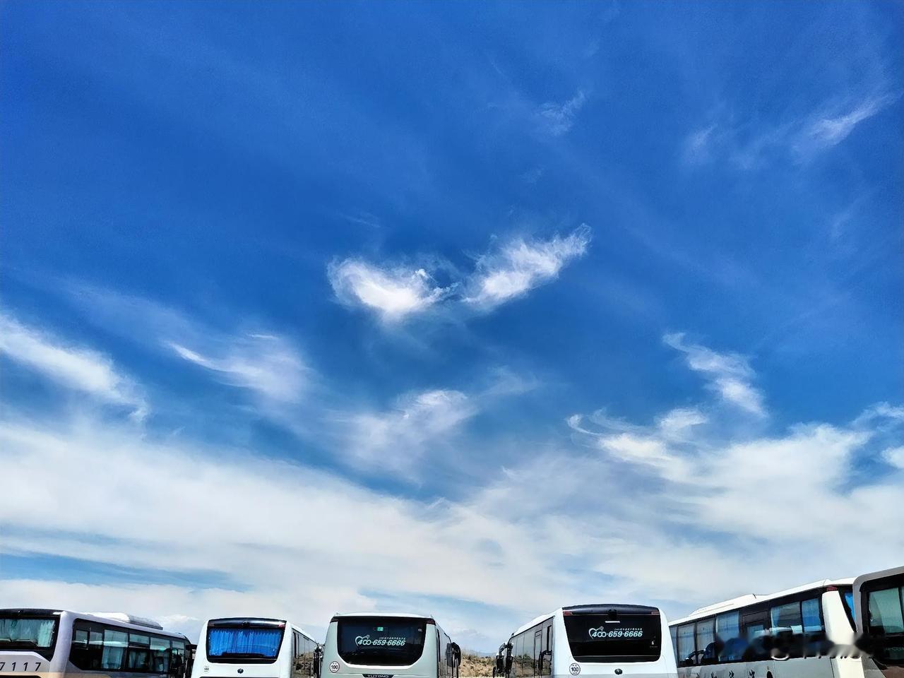 迎来风和日丽。