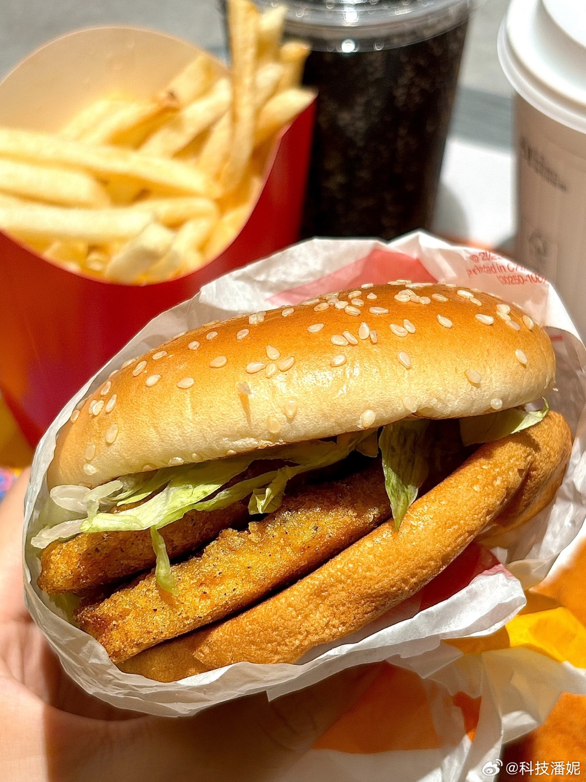 生活就像汉堡，每一层都有不同的惊喜。咬一口汉堡，仿佛咬下了整个世界的快乐。在忙碌