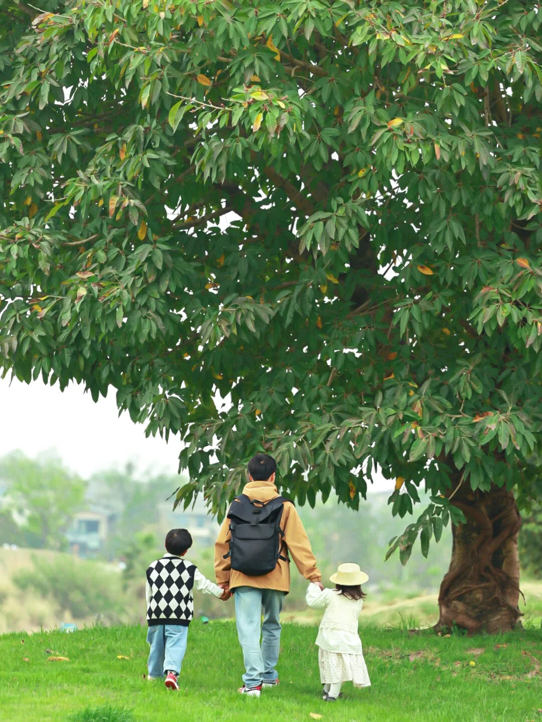 成都遛娃✅｜走进城市周边的绿野仙踪~🍃