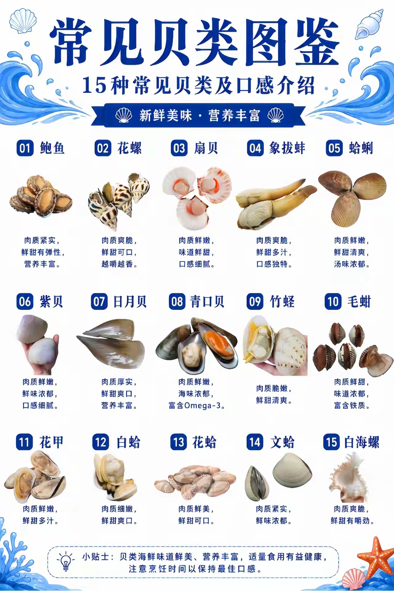 贝类 