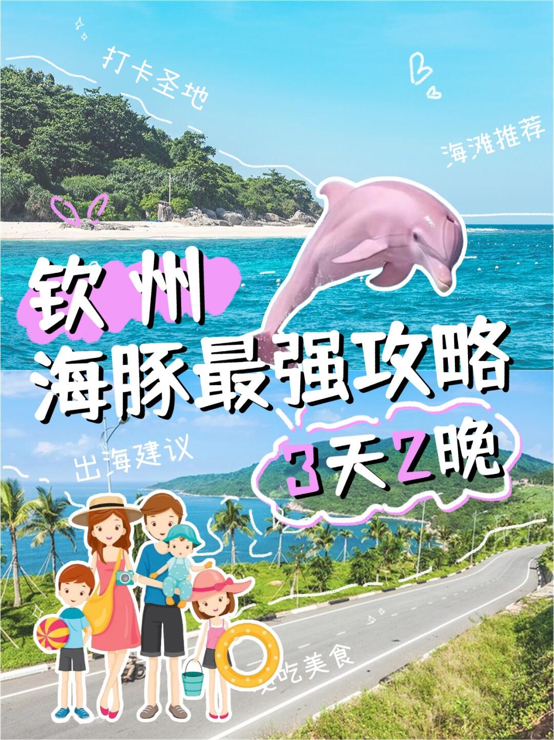 暑假带娃追海豚去~比熊猫还珍贵的粉色海豚