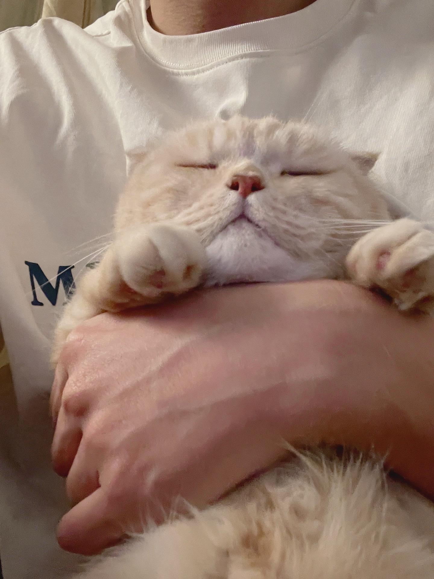 2025也要和猫猫一起过。新年快乐！