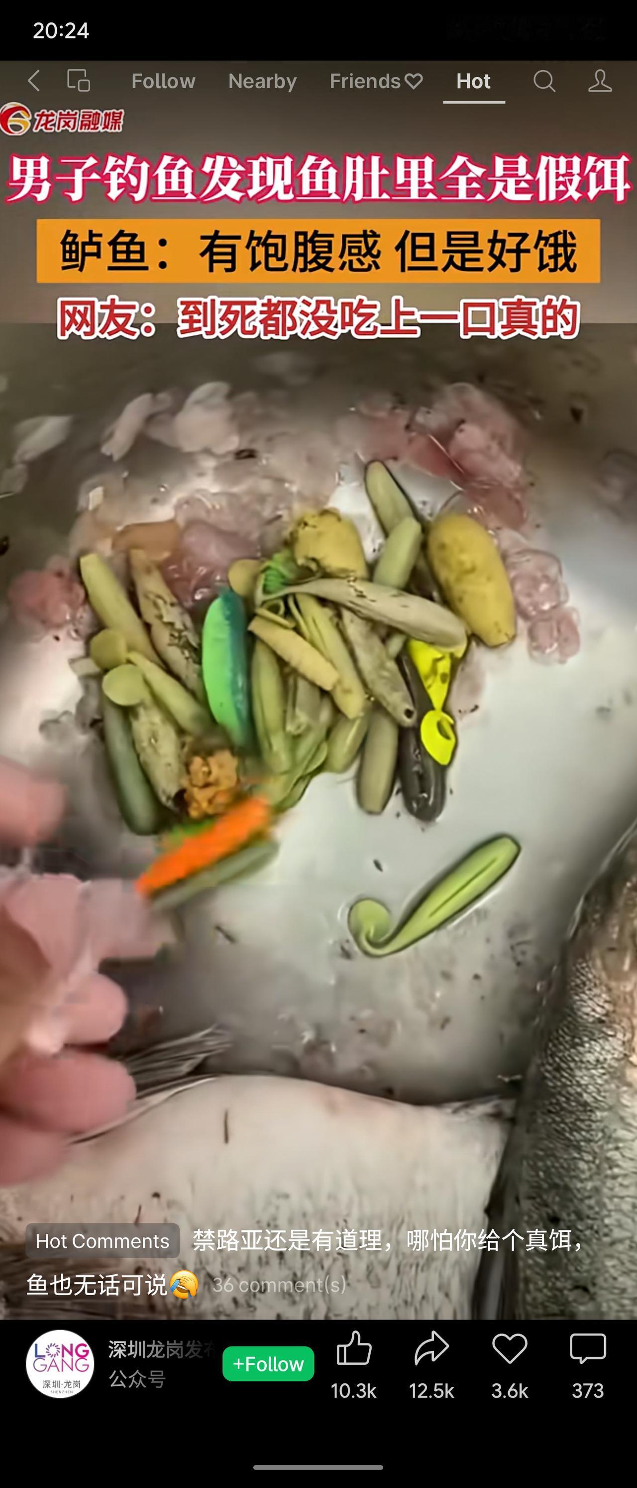 鱼：肚子里全是假饵，感觉饱了但没真吃过一口。网友神补刀：禁路亚有道理，给真饵鱼都