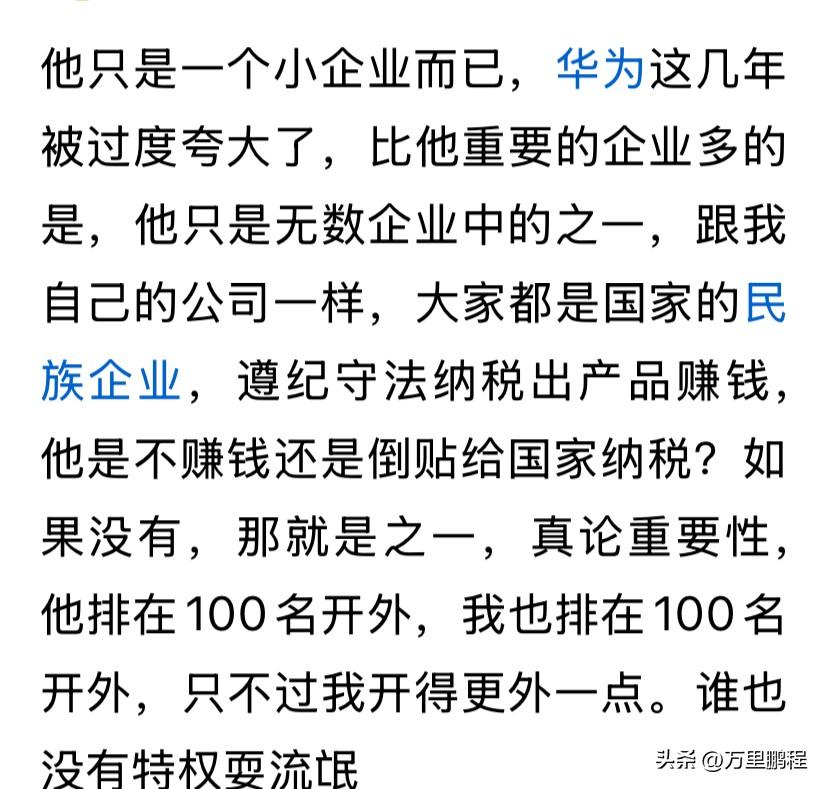 这位真牛掰，说华为被过度夸大了，只是一家小企业，跟它的企业一样，都排在一百名开外