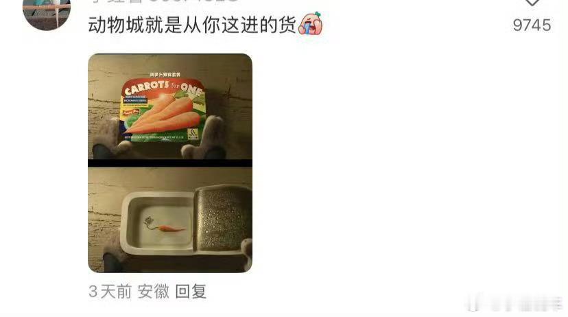 辛辛苦苦种了三个多月的胡萝卜植物天才啊，种了三个月才这点大