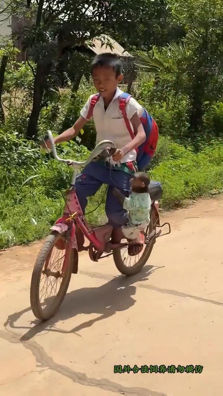 国外合法饲养请勿模仿。