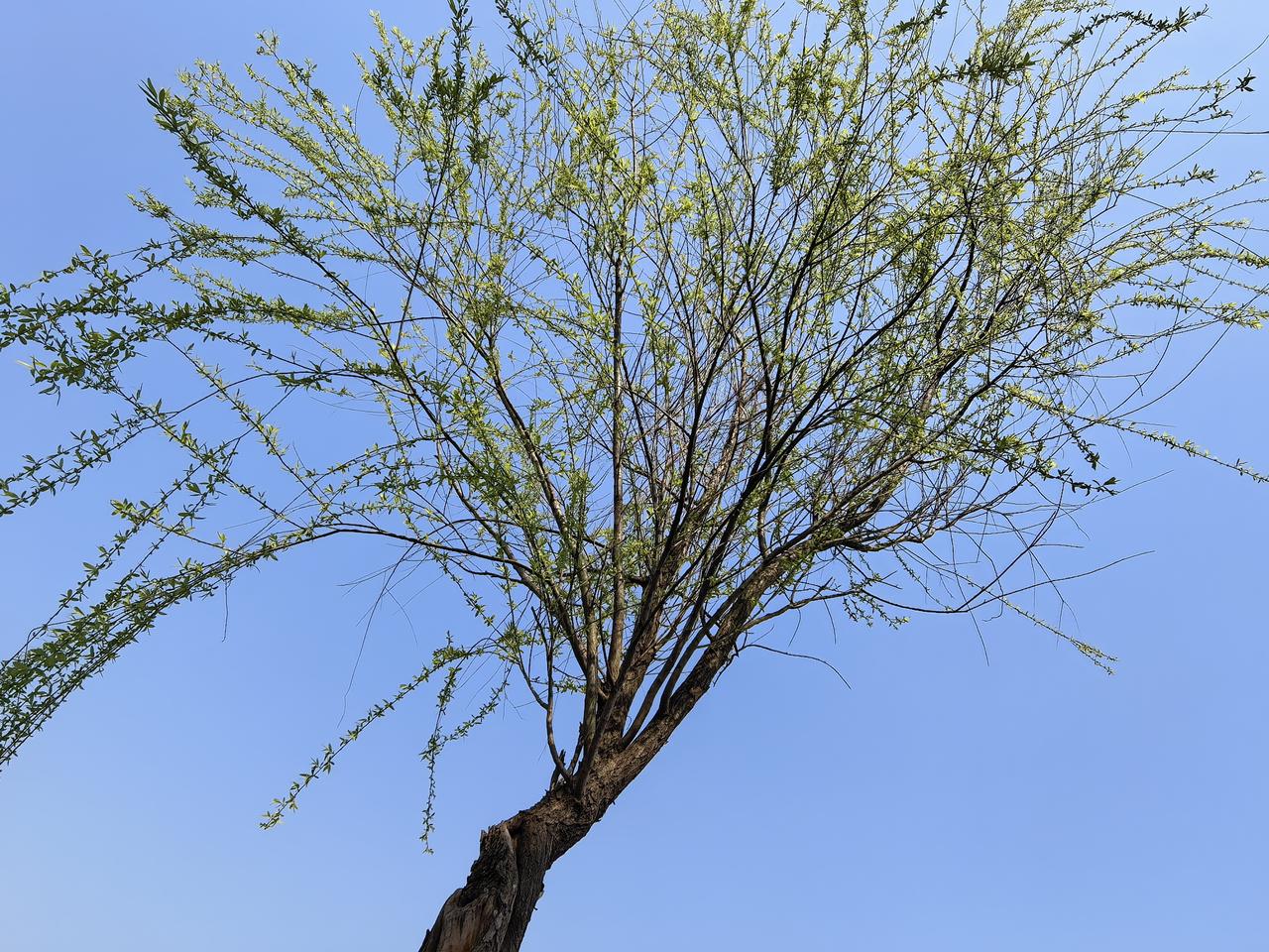 若财务自由就放弃工作，本质是混淆了 “劳动” 与 “被迫谋生” 的区别。
资本市